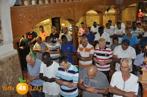 trawe7 mahmodiya 713 (23).JPG